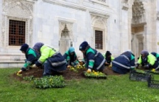 Bursa kışları da çiçek bahçesine dönüşüyor