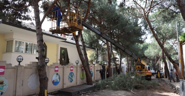 Kartal Belediyesi Park ve Bahçeler Müdürlüğünden yaz seferberliği