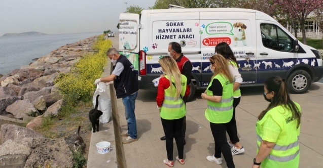 Kartal Belediyesi sokak hayvanlarının yanında