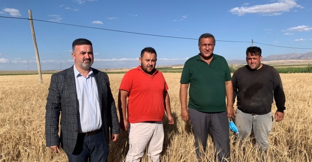 Arpada ithalat tam gaz”