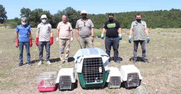 Eskişehir Hayvanat Bahçesi#039;nden doğal hayata destek