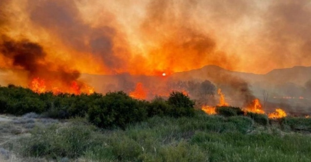Orman yangınlarında son durum açıklandı