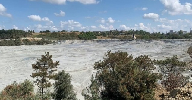 quot;Kuzey Ormanları#039;nda ağaçları kesip beton döküyorlar!quot;