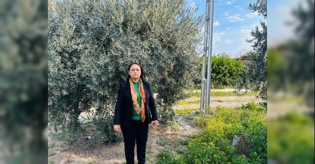 quot;Orman ve mera alanları imara açılıyorquot;
