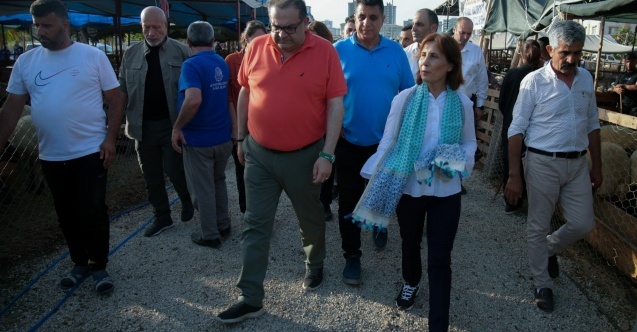 Seyhan Belediyesi, 4 bin 734 adet ücretsiz kurban kesimi yaptı