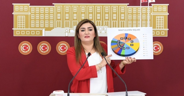 CHP#039;li Sevda Erdan Kılıç#039;tan aile katliamları raporu