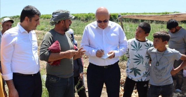 CHP'li Tanal'dan mevsimlik tarım işçileri için kanun teklifi