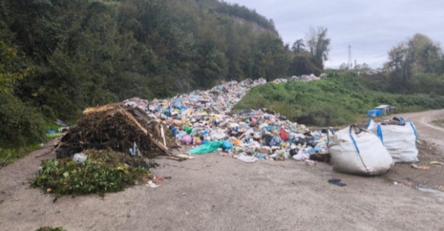 Bartın'da yollara dökülen çöpler Meclis gündeminde