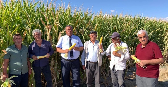 Gürer: “Mısır üretimi bitirilmek mi isteniyor?”