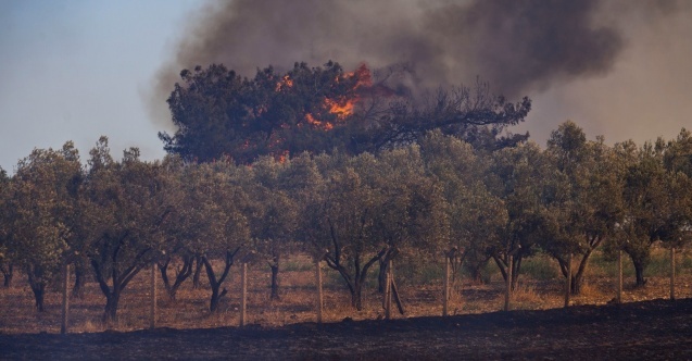Yanan alanların büyüklüğü Bucanın yüzölçümünün iki katı