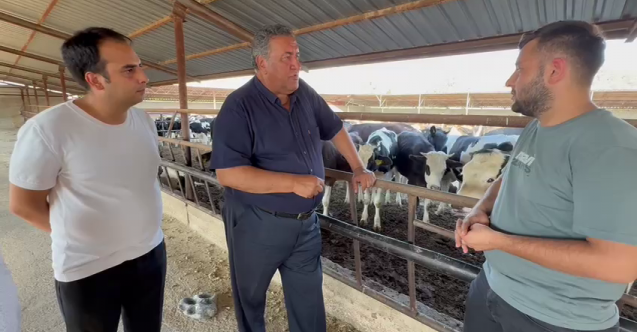 CHP'li Ömer Fethi Gürer: “Şap yayılıyor mu, önlendi mi?”