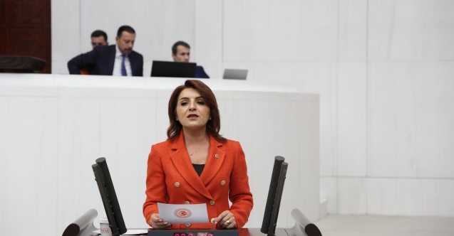 “Bir yanda milyar euroluk kaynaklar, diğer yanda susuz kalan tarlalar!”