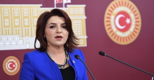 Gülcan Kış'tan Meclis'te tarihi Mersin çıkışı