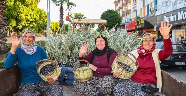 Manavgat'ta Zeytin ve Zeytinyağı Festivali'nin ikincisi başlıyor