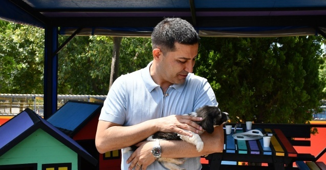 Kuşadası'ndan örnek proje: Doğal Yaşam Alanı