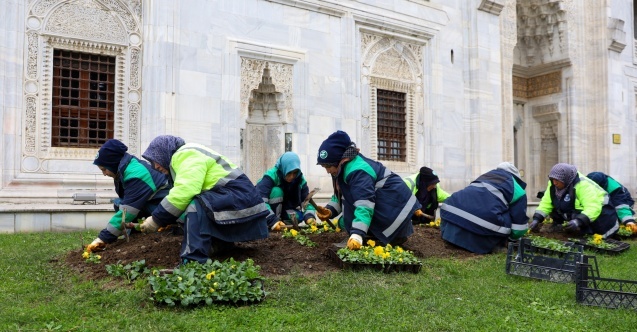 Bursa kışları da çiçek bahçesine dönüşüyor