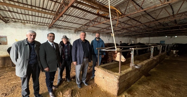 Gürer: “Şap Hastalığı Hayvancılığı Vuruyor!”