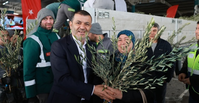 Denizli Büyükşehir’den üreticiye 84 bin sertifikalı zeytin fidanı